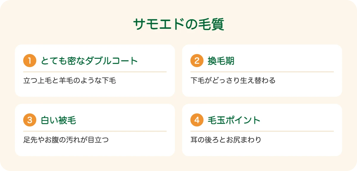 サモエドの毛質