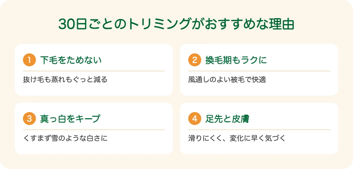 サモエドの30日ごとのトリミングがおすすめな理由