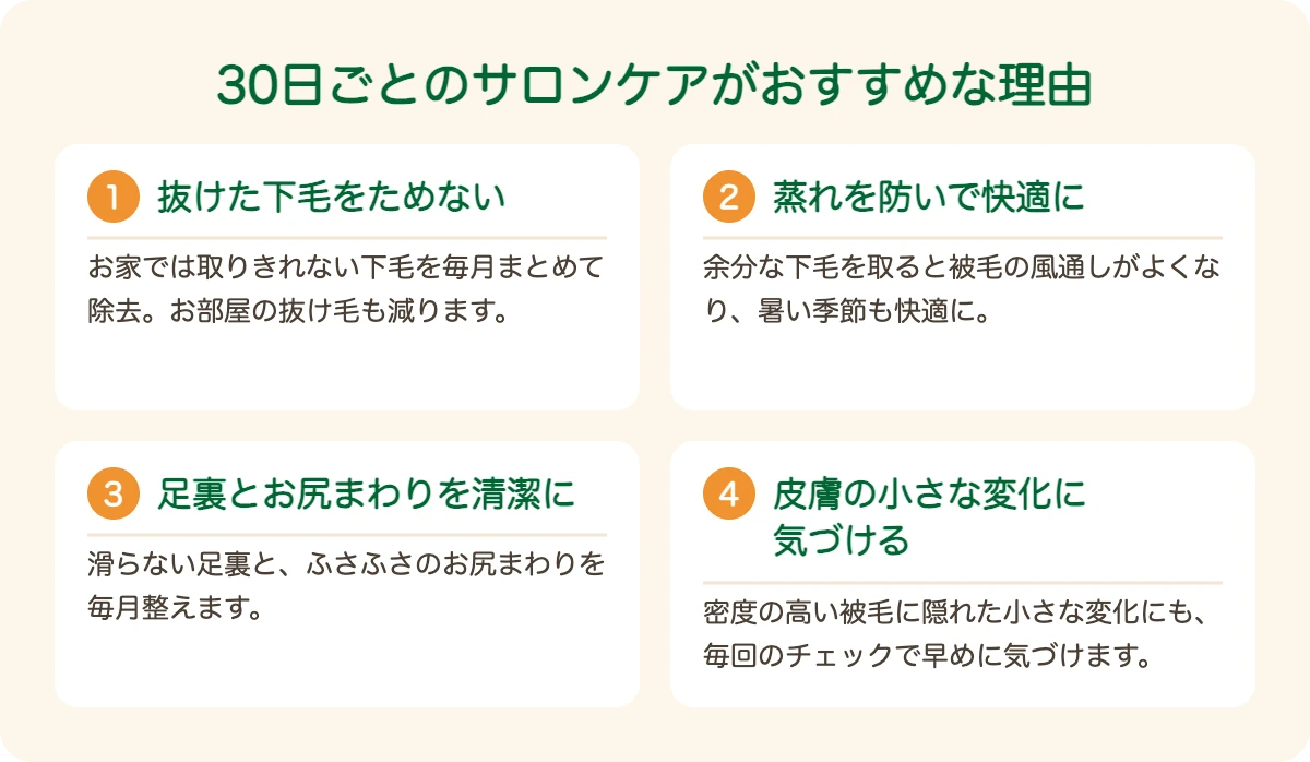 スキッパーキのトリミングを30日ごとにおすすめする理由
