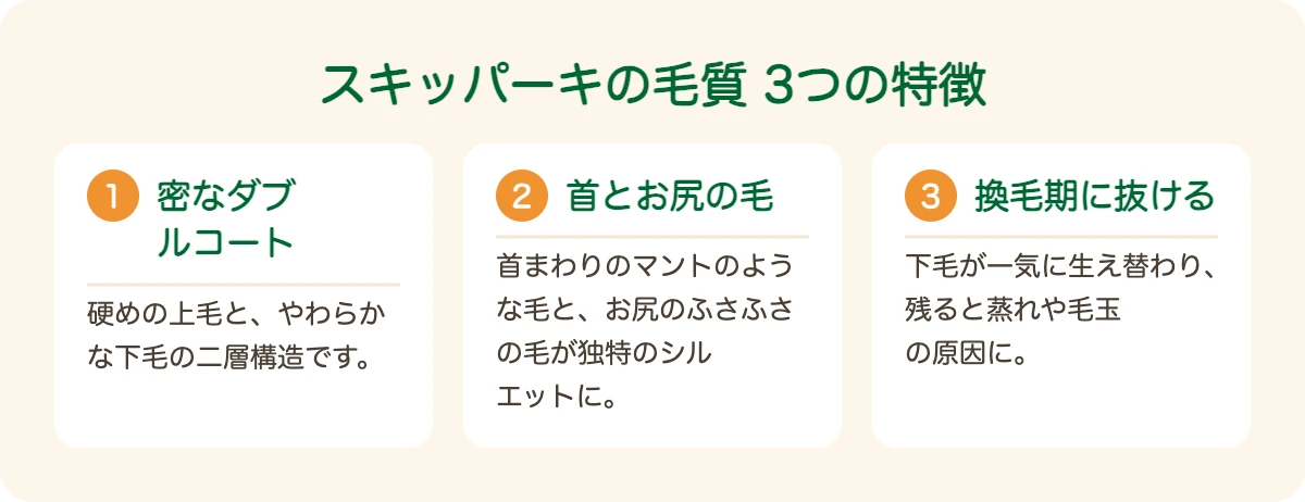 スキッパーキの毛質の3つの特徴