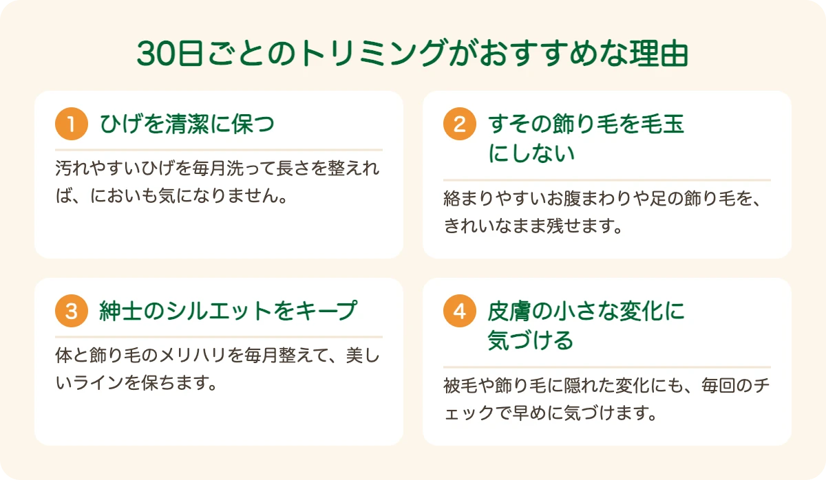 スコティッシュ・テリアのトリミングを30日ごとにおすすめする理由