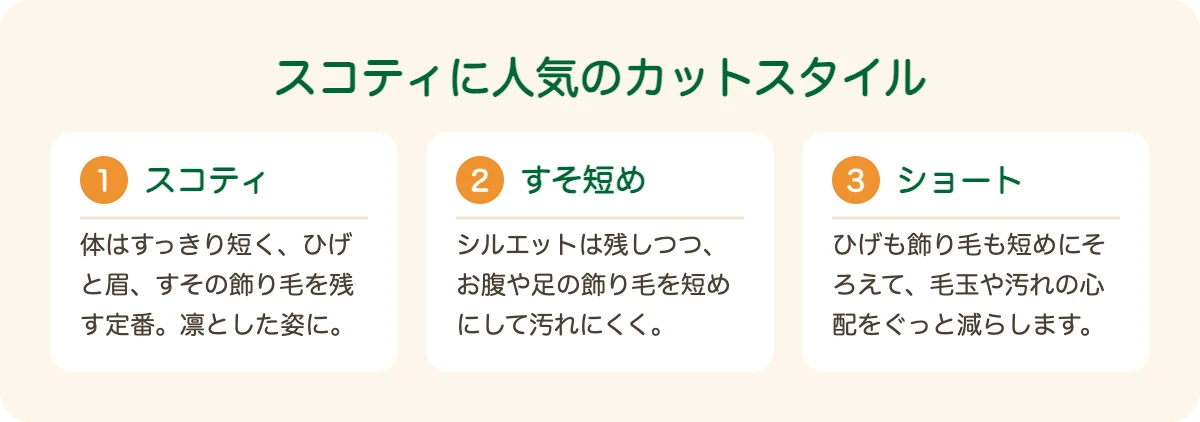 スコティッシュ・テリアに人気のカットスタイル
