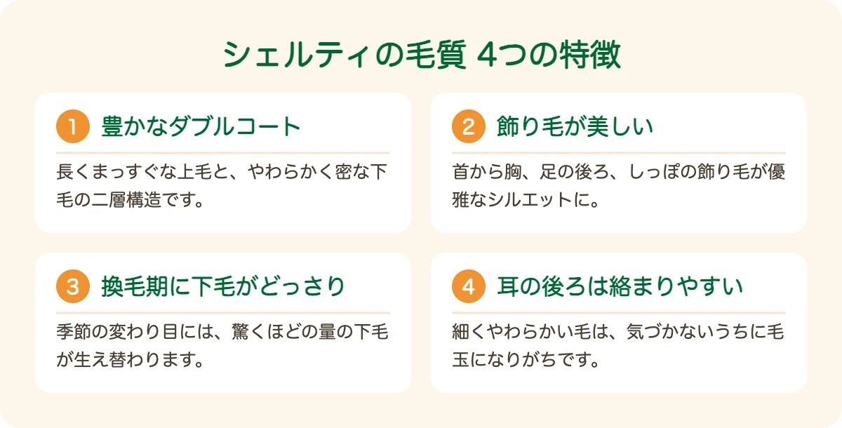 シェットランド・シープドッグの毛質の4つの特徴