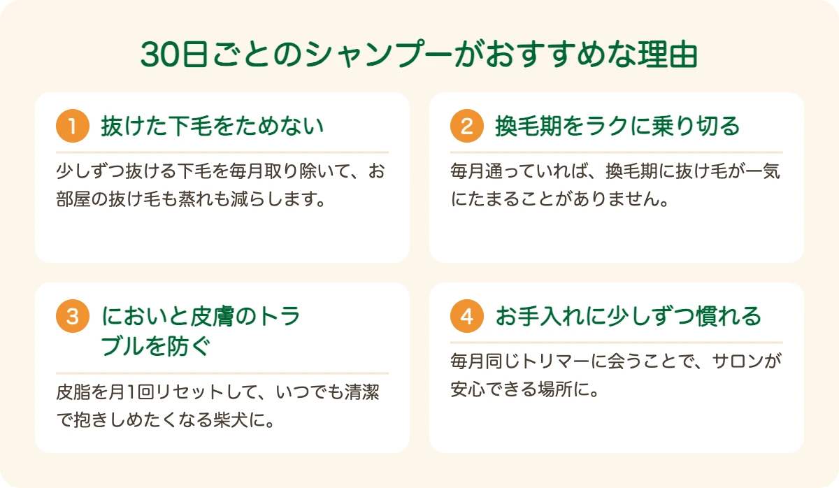 柴犬のトリミングを30日ごとにおすすめする理由