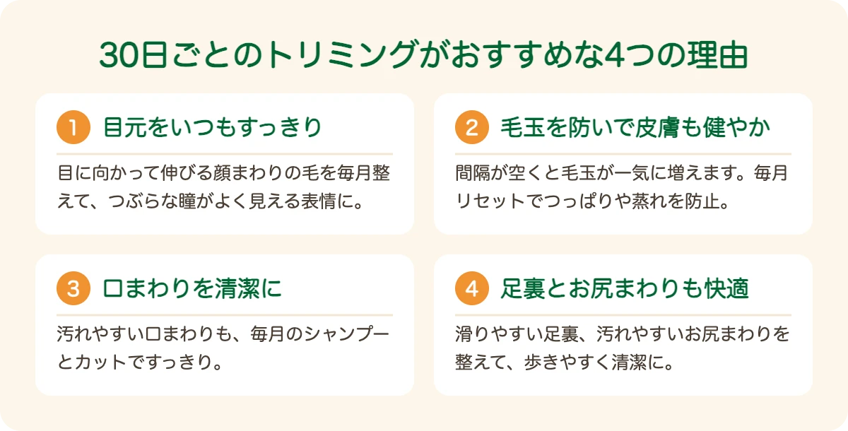 シーズーのトリミングを30日ごとにおすすめする4つの理由