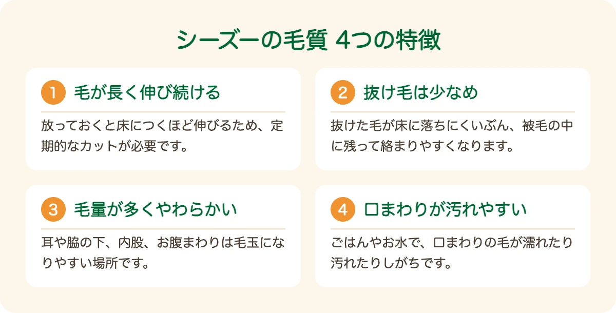 シーズーの毛質の4つの特徴