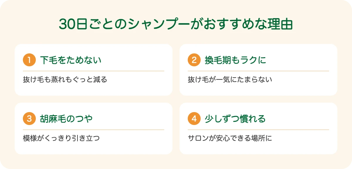 四国犬の30日ごとのシャンプーがおすすめな理由