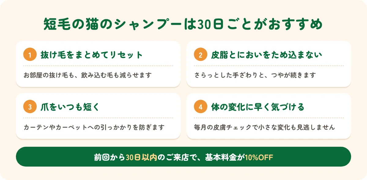 短毛の猫のシャンプーを30日ごとにおすすめする理由