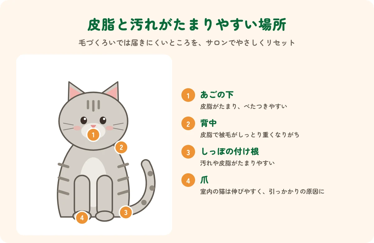 短毛の猫の皮脂と汚れがたまりやすい場所の図解(あごの下・背中・しっぽの付け根・爪)