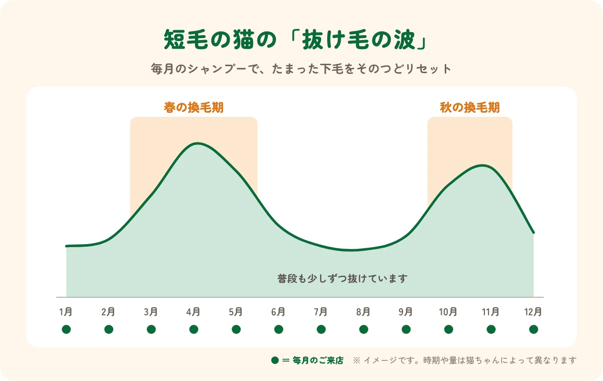 短毛の猫の一年の抜け毛の波(春と秋の換毛期)のイメージ図