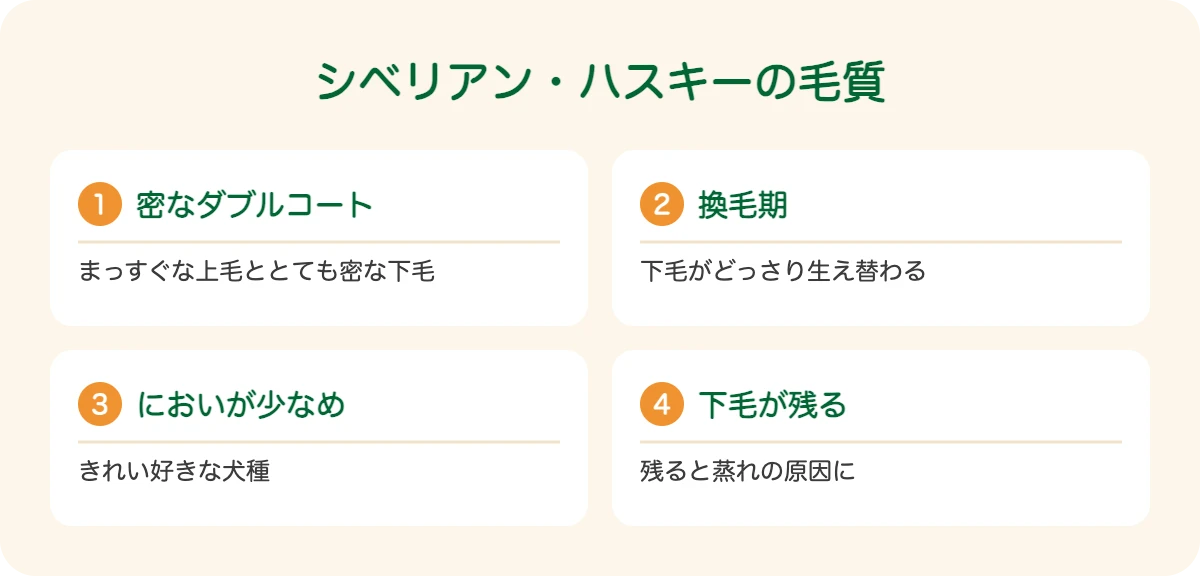 シベリアン・ハスキーの毛質