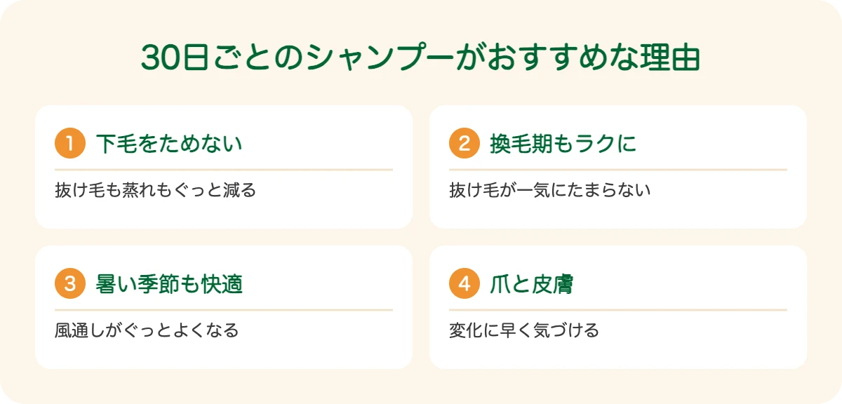 シベリアン・ハスキーの30日ごとのシャンプーがおすすめな理由