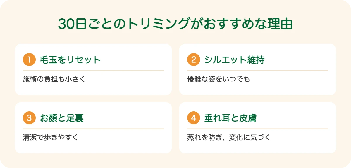 スタンダード・プードルの30日ごとのトリミングがおすすめな理由