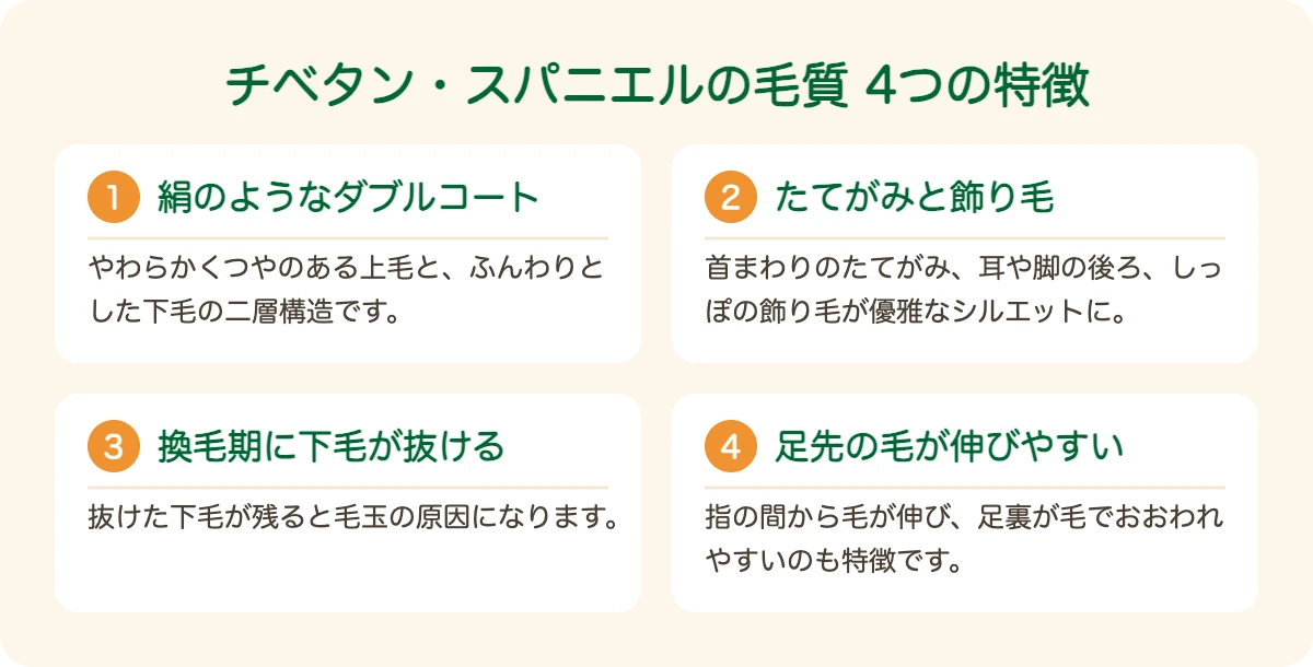 チベタン・スパニエルの毛質の4つの特徴
