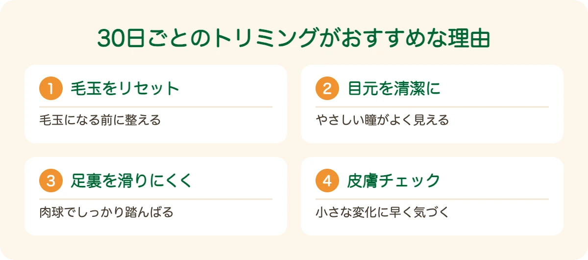 チベタン・テリアのトリミングを30日ごとにおすすめする理由