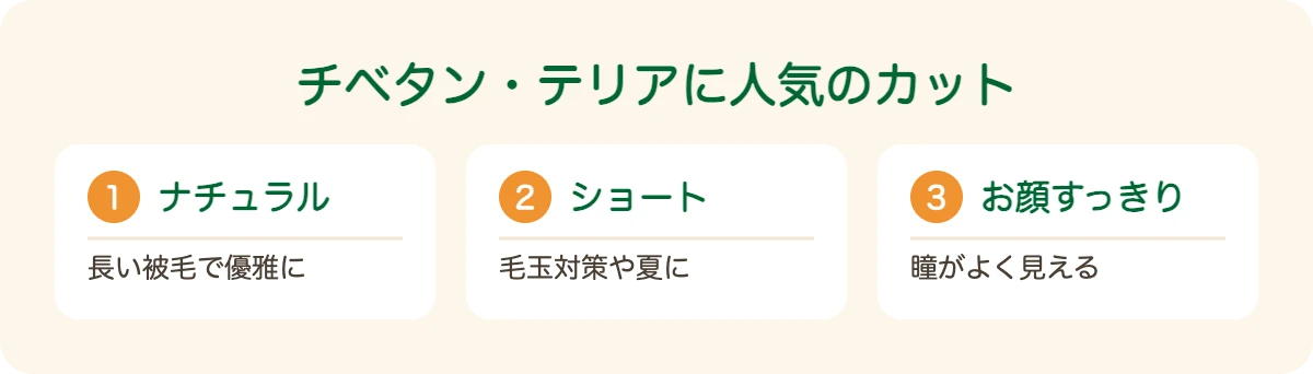 チベタンテリアの図解