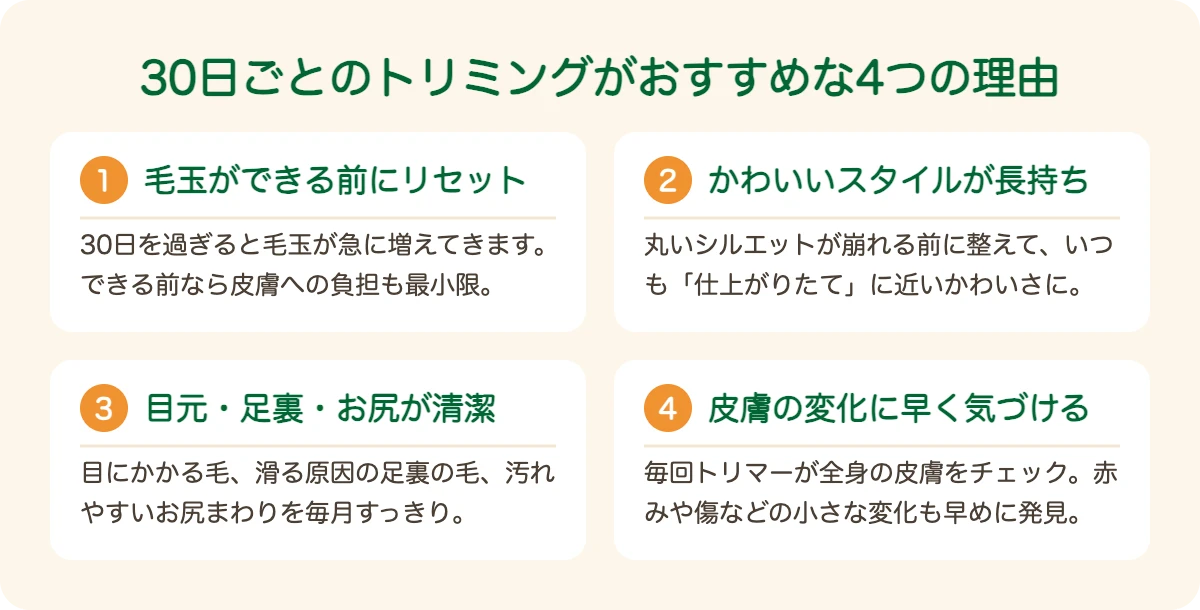 トイ・プードルのトリミングを30日ごとにおすすめする4つの理由
