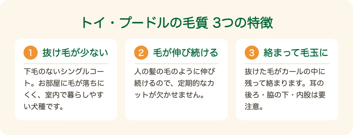 トイ・プードルの毛質の3つの特徴(抜け毛が少ない・毛が伸び続ける・毛玉ができやすい)