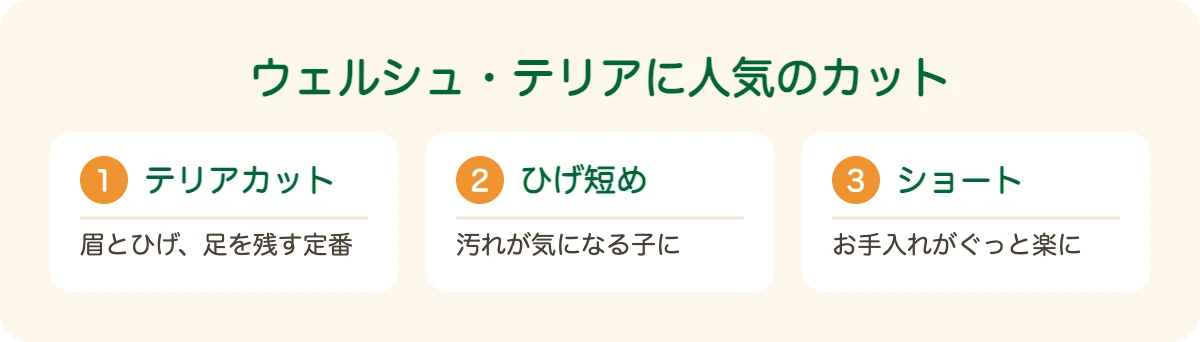 ウェルシュテリアの図解