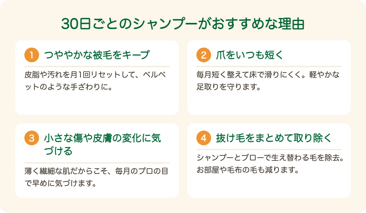 ウィペットのトリミングを30日ごとにおすすめする理由