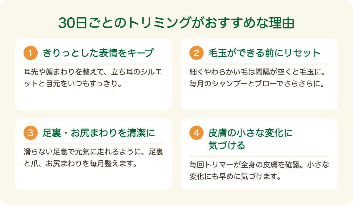 ヨークシャー・テリアのトリミングを30日ごとにおすすめする理由