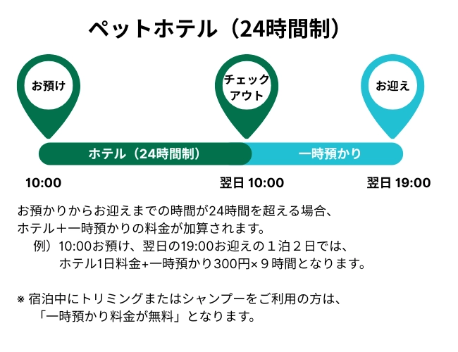 ペットホテルのタイムスケジュール
